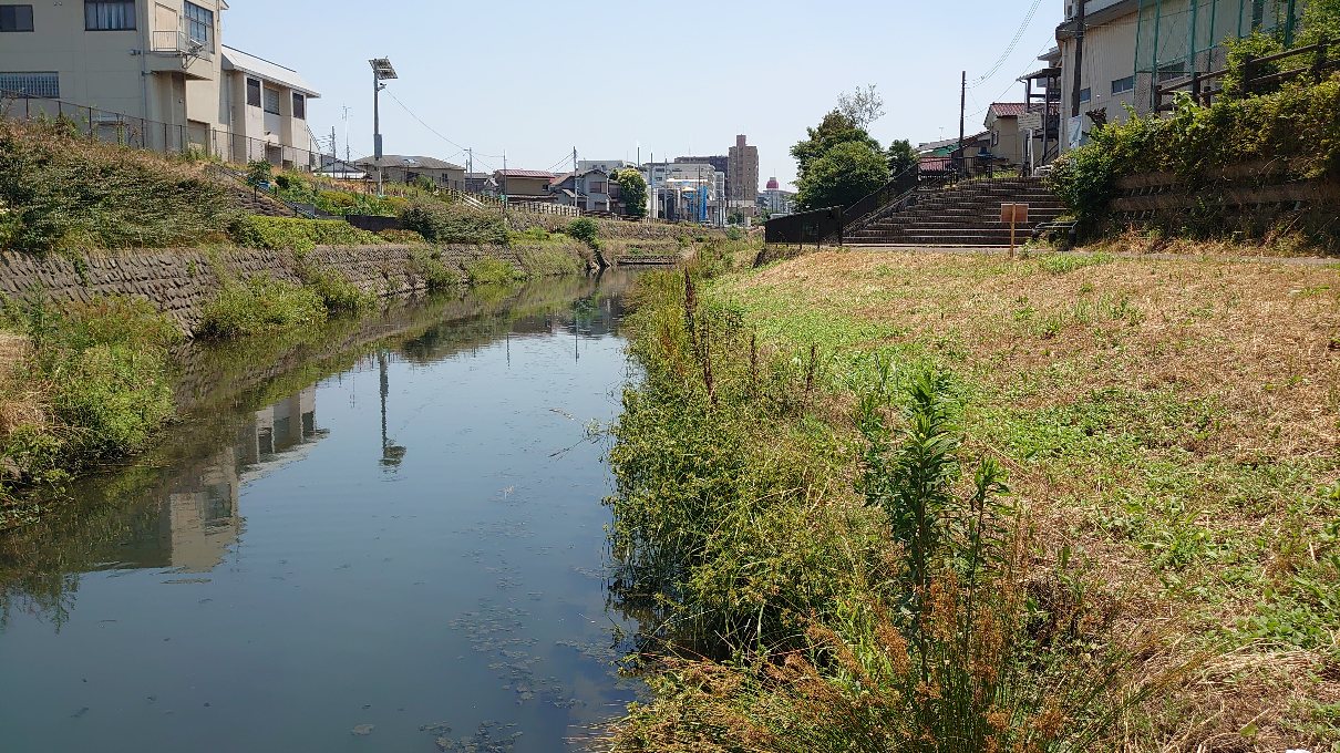 近くに流れる 旧芝川