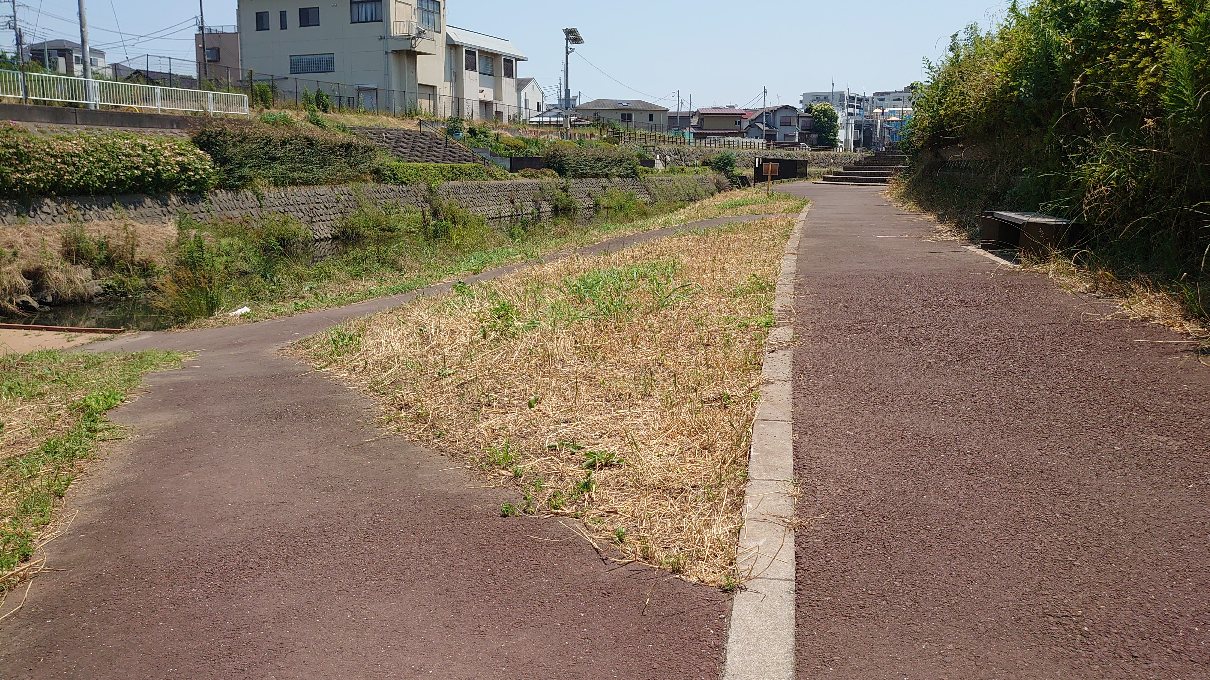 カナヘビの隠れ家だった場所